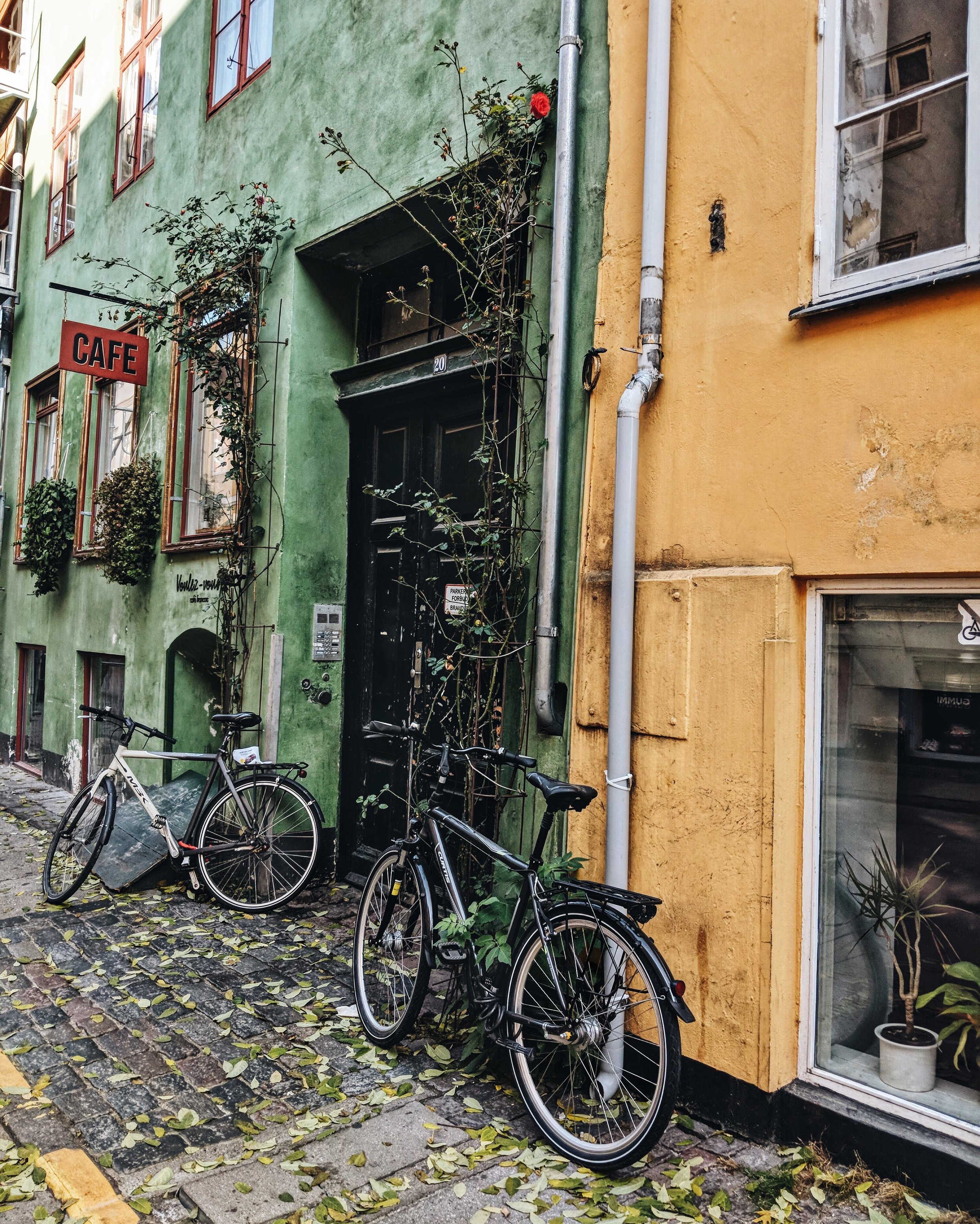 Photo Oct 14, 1 50 45 AM.jpg