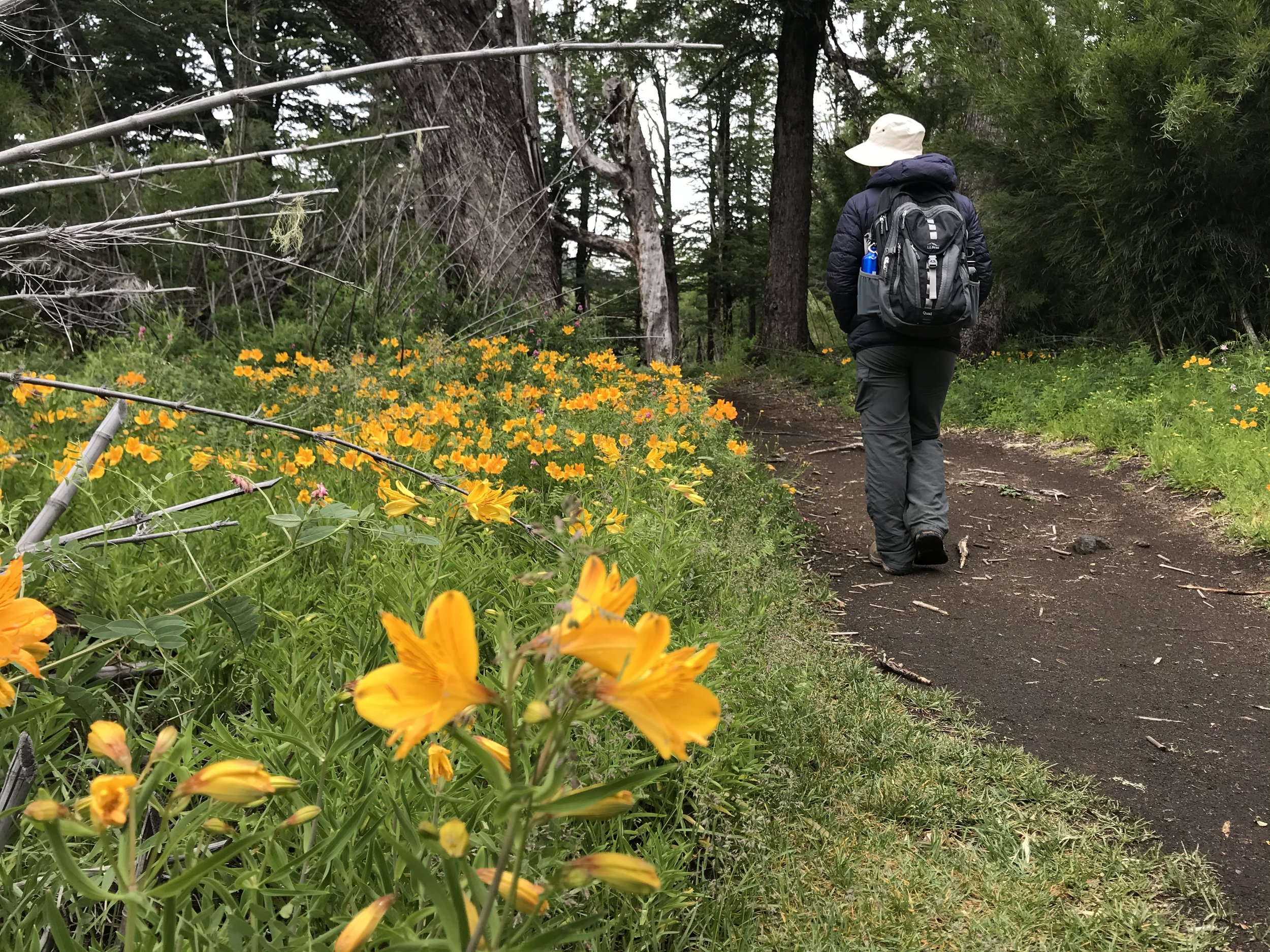 andBeyond - Lake District 2.jpeg