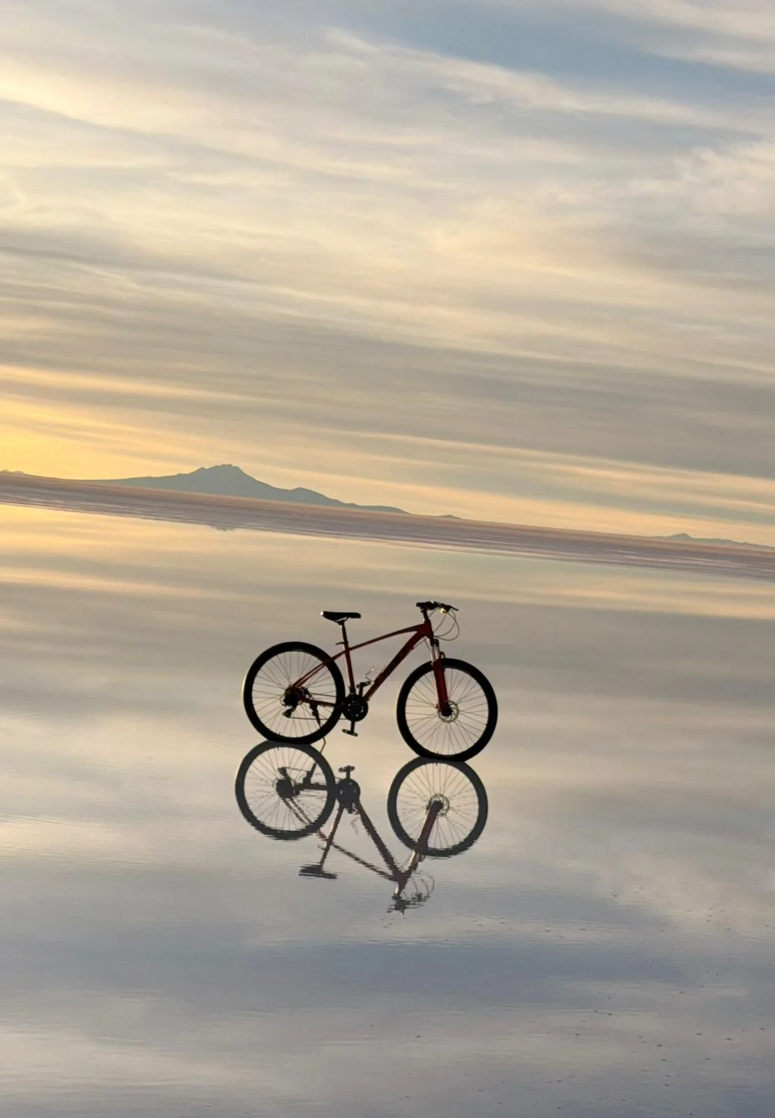 Bicycle Image.jpg