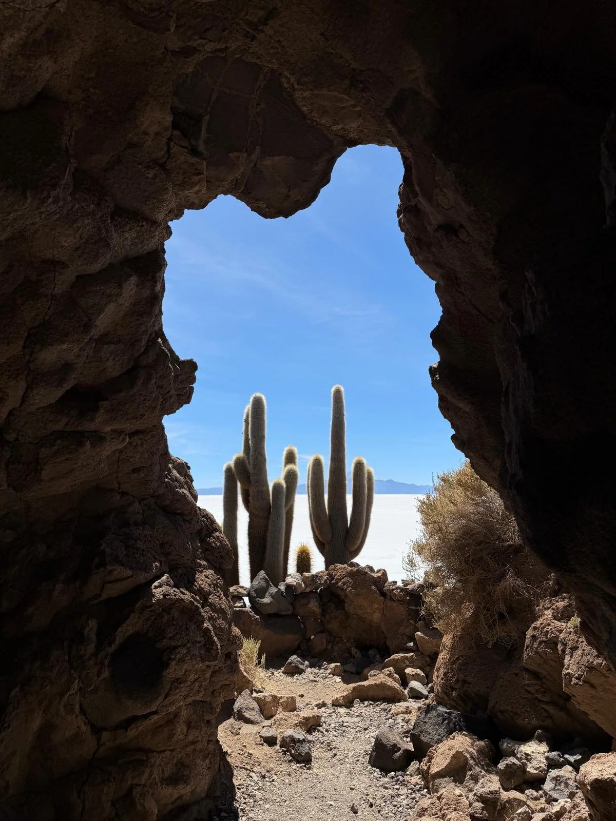 Cueva Cactus.jpg