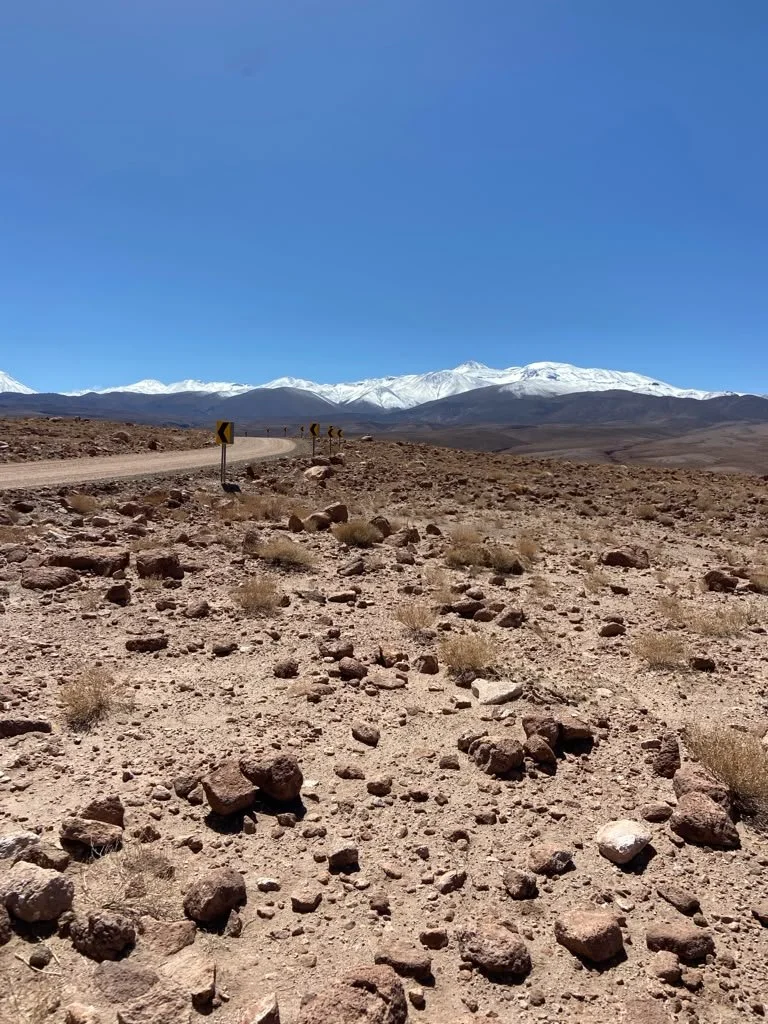 Atacama Chile Andes.jpg