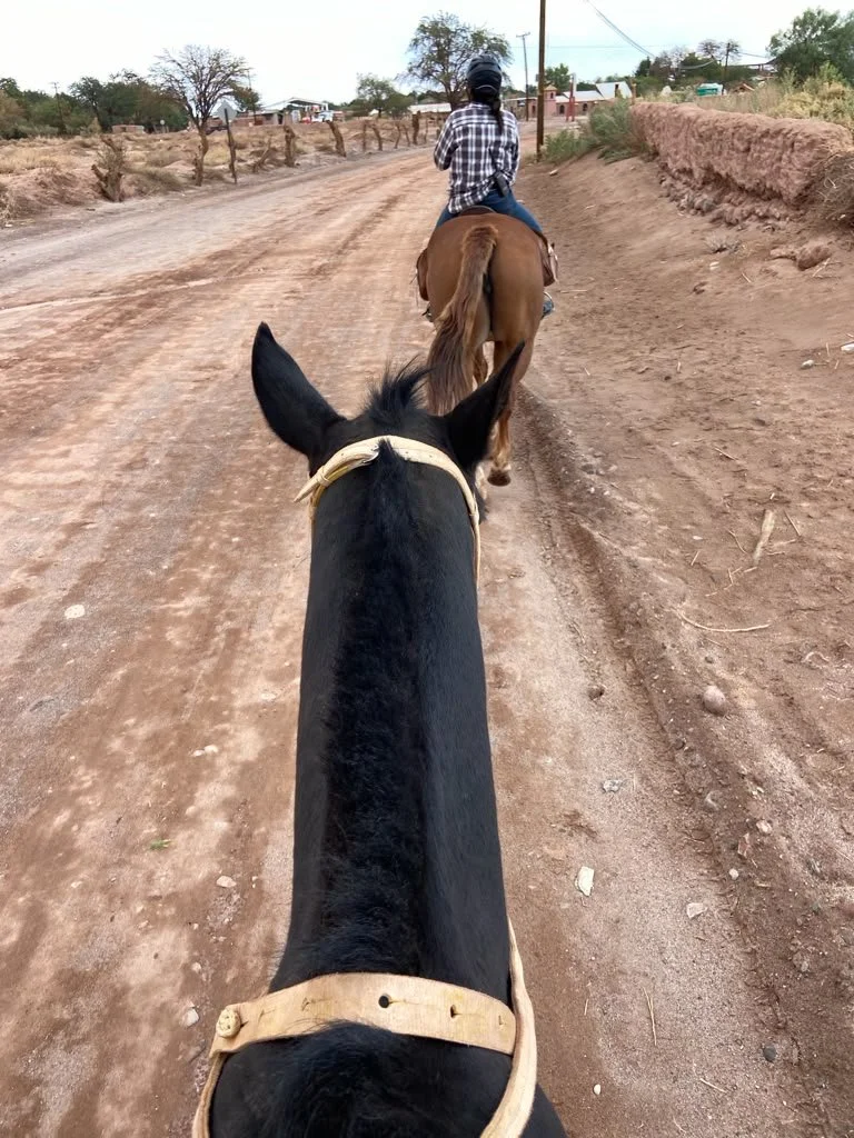 Atacama Chile Caballo.jpg