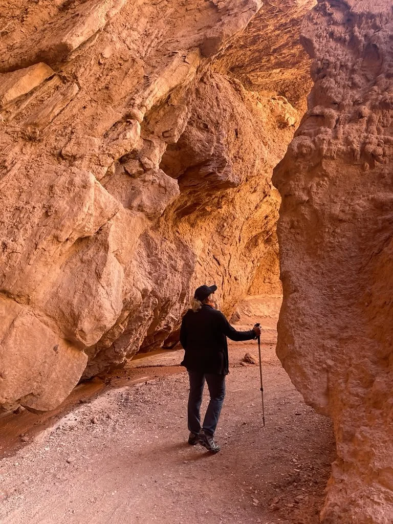 Atacama Chile Persona.jpg