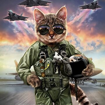 Friends of the CAT