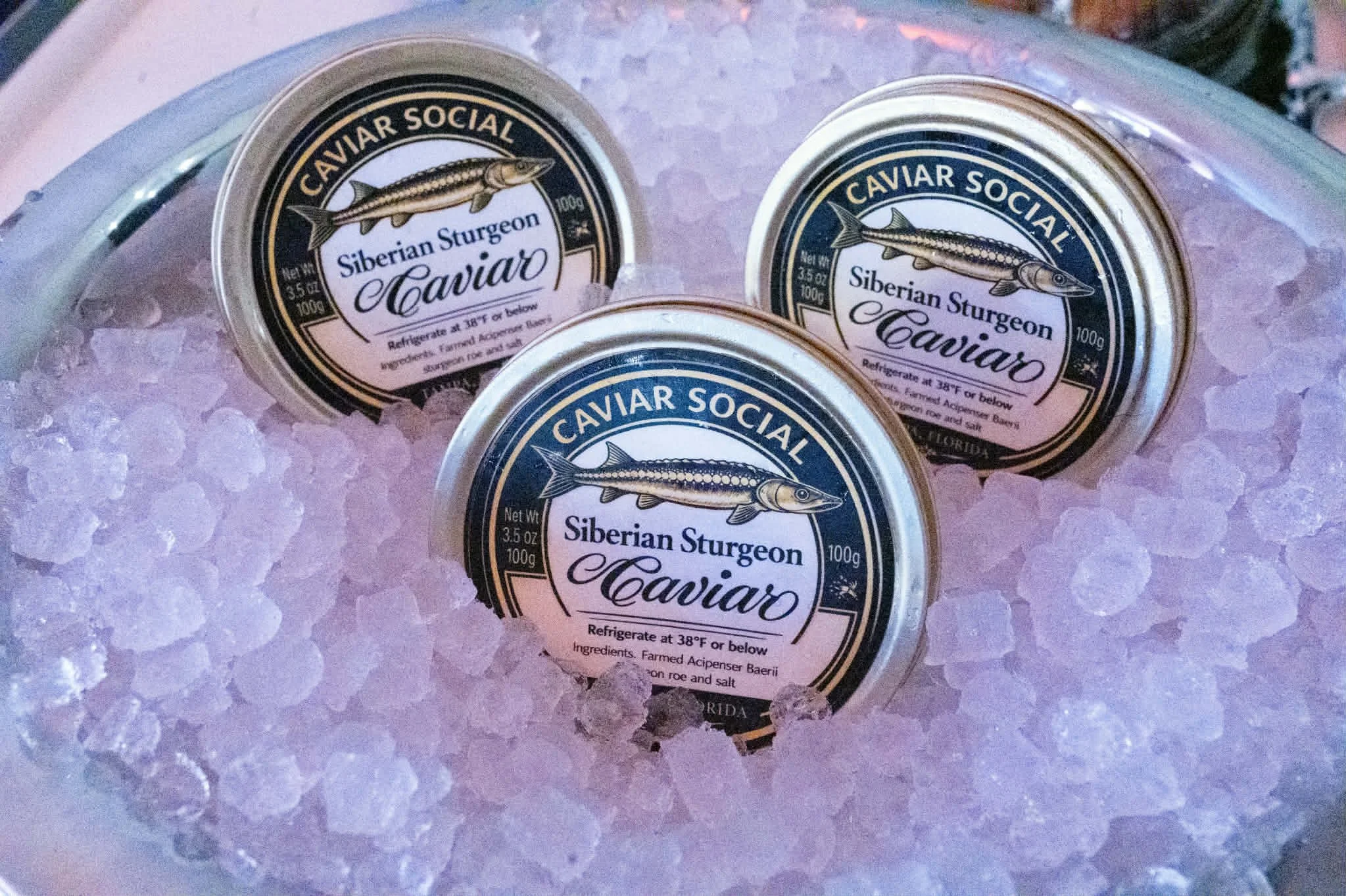 Three tins of Siberian sturgeon caviar labeled 'Caviar Social,' placed on ice in a container.