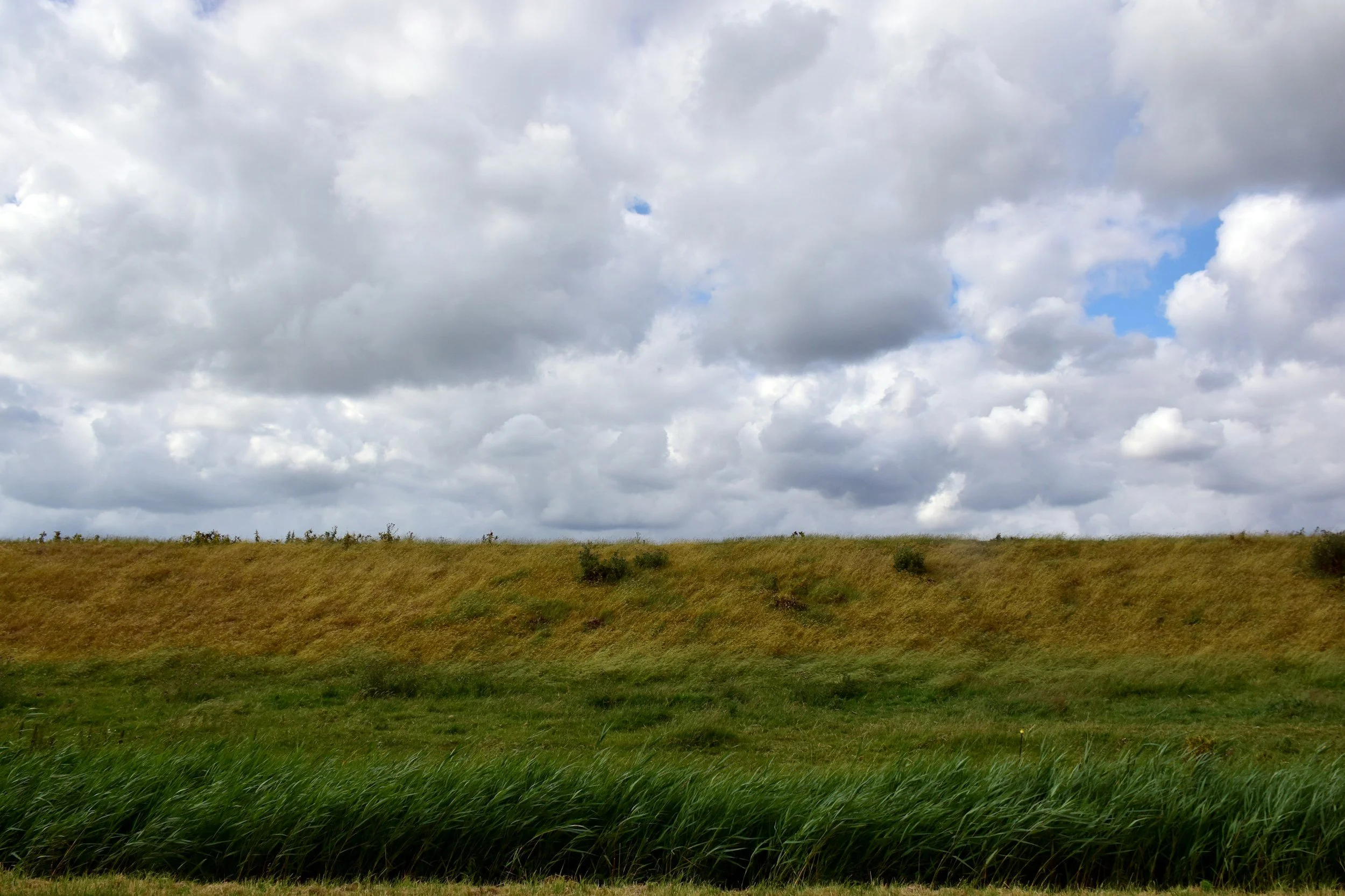 A landscape featuring a cloudy sky with patches of blue, a grassy field with a mix of green and brown vegetation, and a distant horizon.