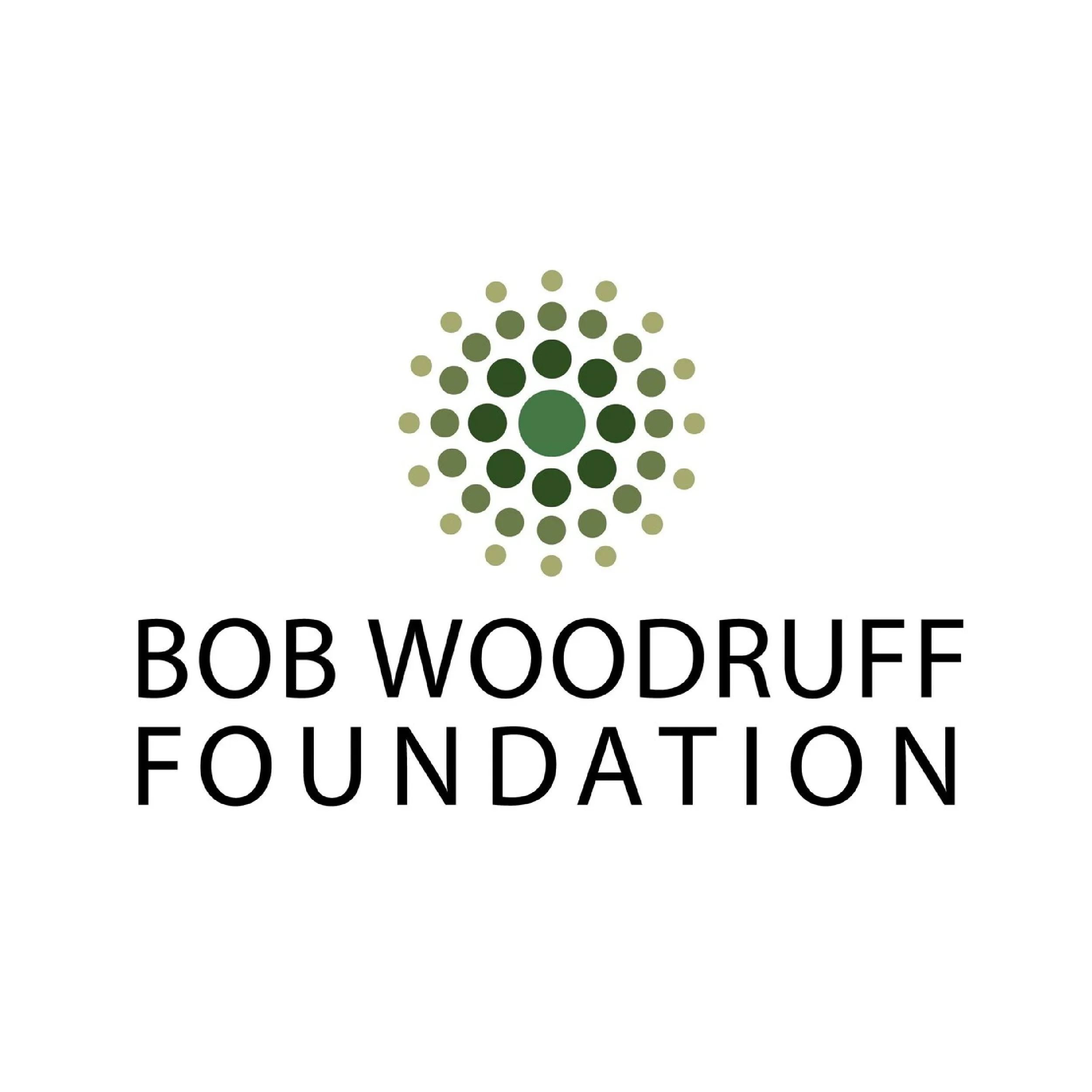 sponsor-logo-bob-woodruff-foundation.webp