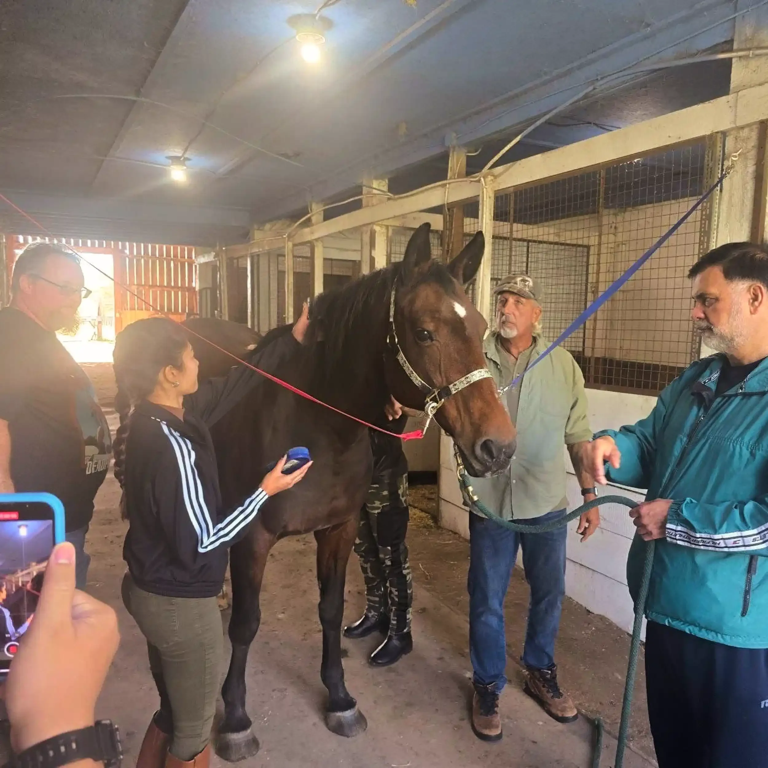 Group of people with a horse in a stable, some holding the horse, others taking photos, in an indoor setting.