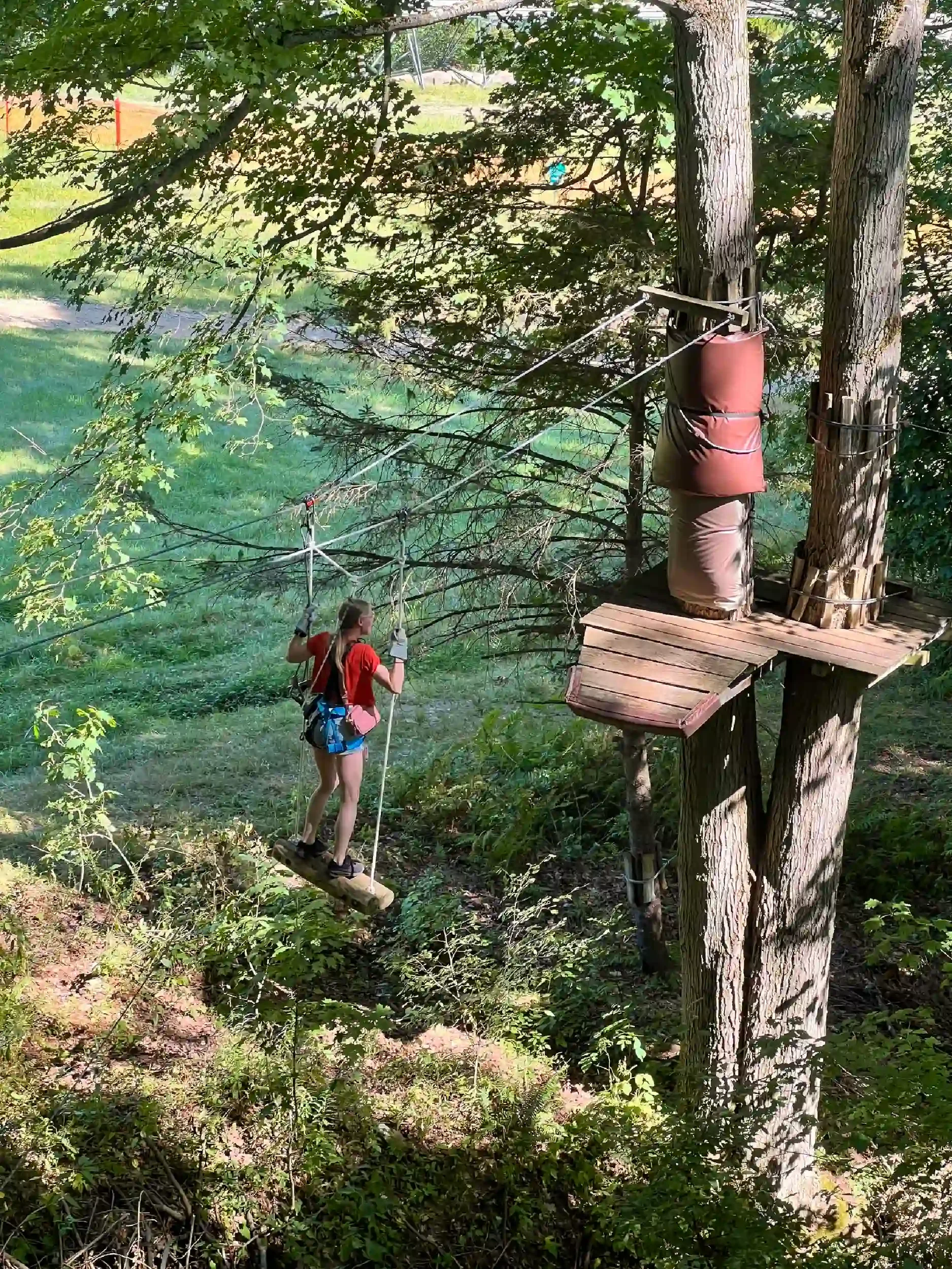 A person with a harness and gloves crossing a wooden bridge suspended between trees in a forested area.