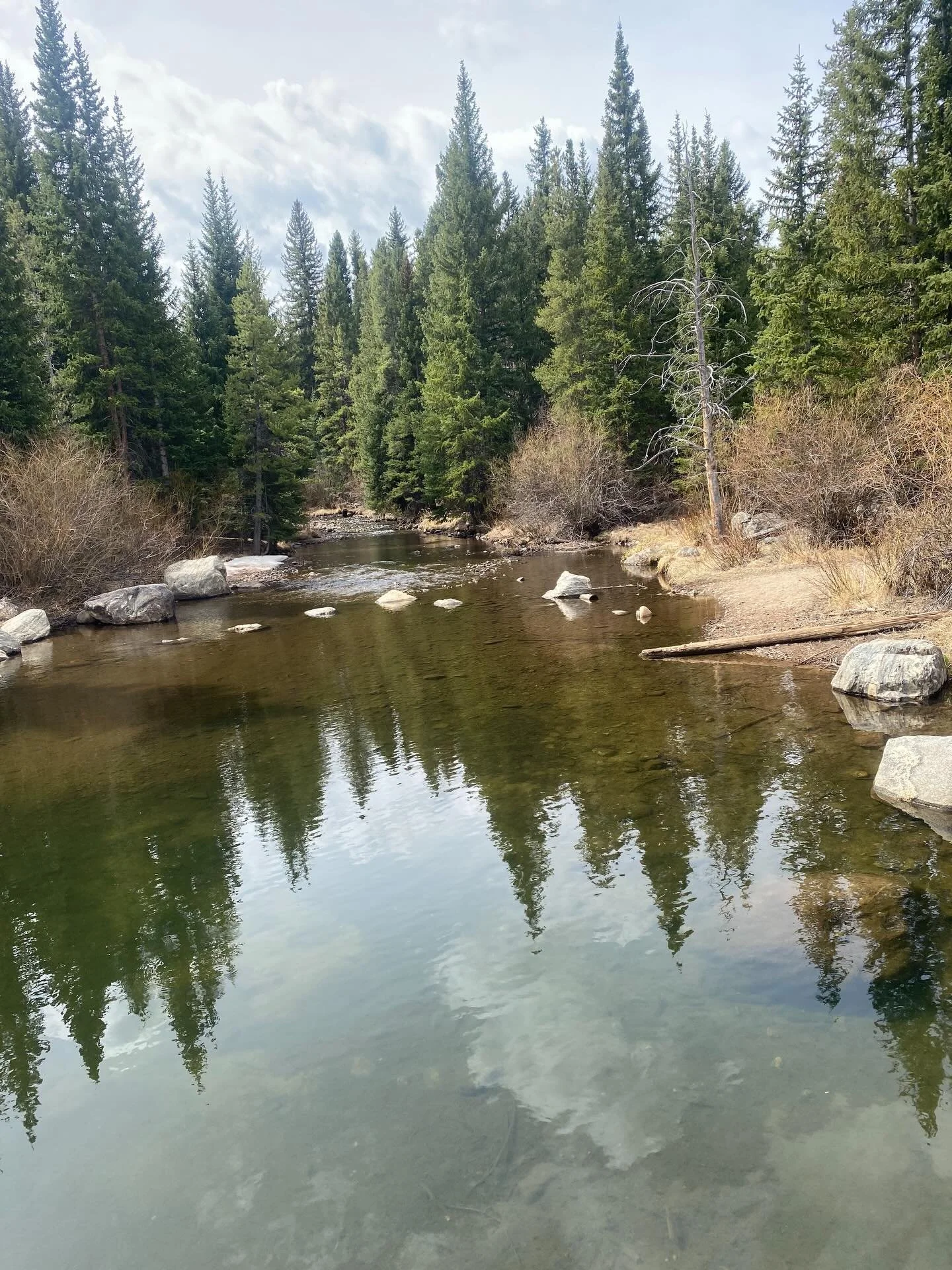 April in Breckenridge usually means skiing, 
but today was a beautiful day for a hike!