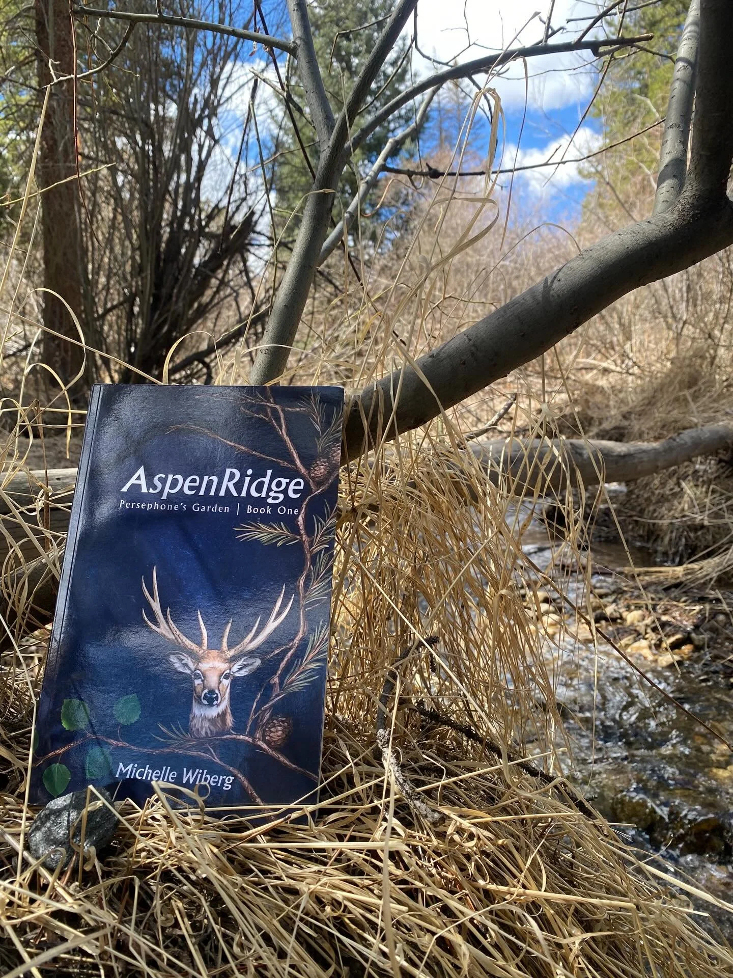 AspenRidge is featured in a Goodreads giveaway now through May 14! Use the link below to win a free copy:

https://7xw7frr8.r.us-east-1.awstrack.me/L0/https:%2F%2Fwww.goodreads.com%2Fgiveaway%2Fenter_choose_address%2F434243-aspenridge%3Futm_medium=em