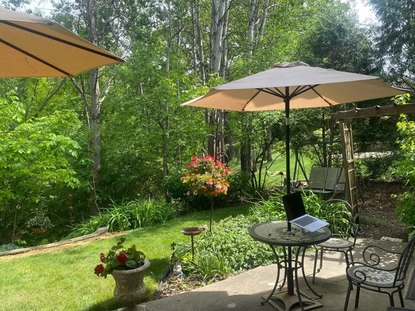 My summer writing studio is up and running! Book 2 of the Persephone&rsquo;s Garden series is coming together 🥰