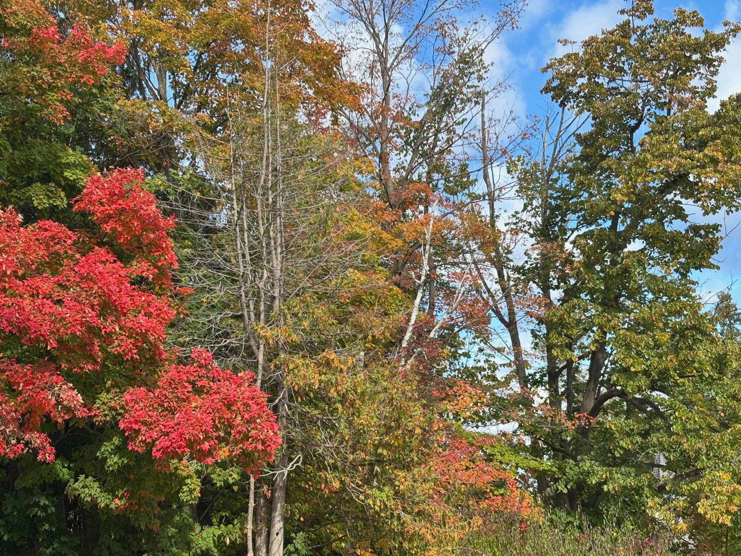 Colors are popping in Sister Bay!