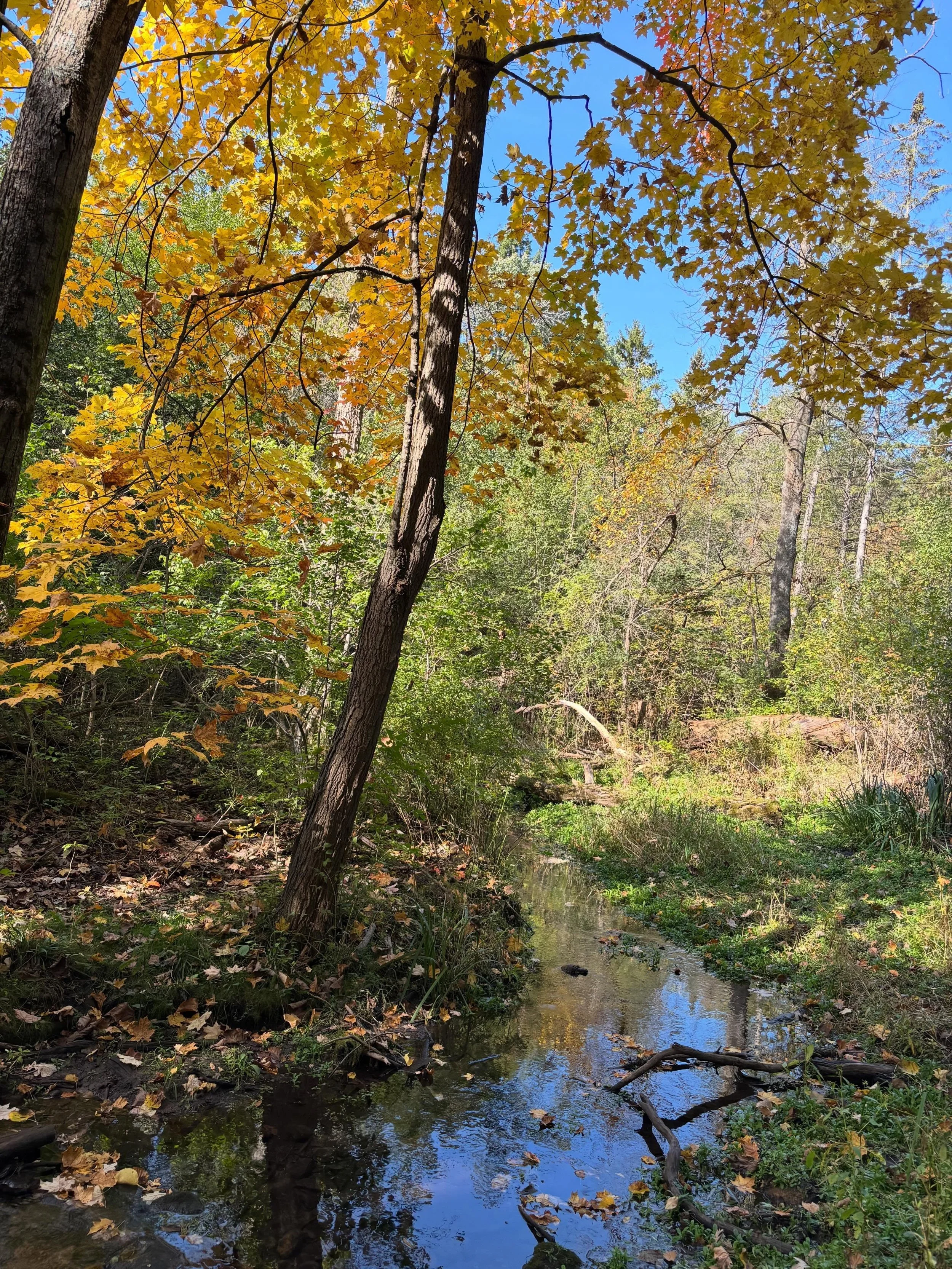 Perfect weather for an Autumn hike at Retzer Nature Center! 🍁🍂