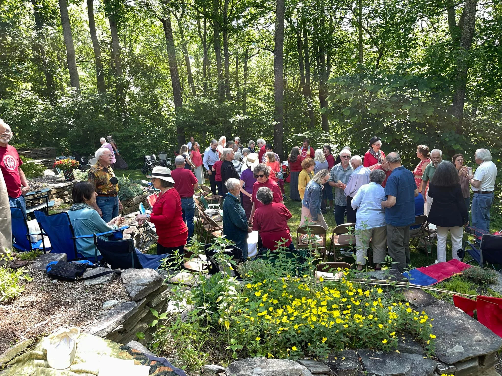 A large outdoor gathering of elderly people in a wooded area, talking and socializing. Some are sitting in chairs, others standing, with trees and greenery in the background.