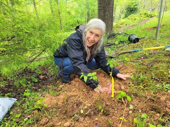 An older woman planting a young tree in a forested area, smiling at the camera.