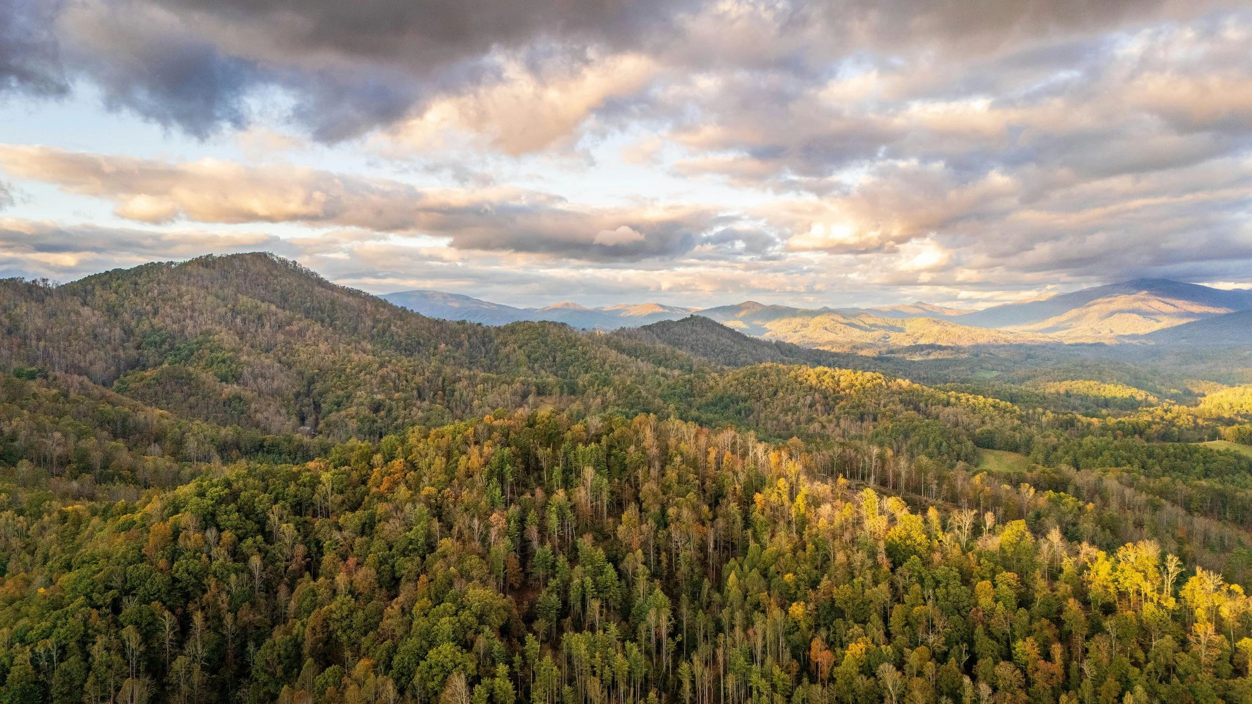 A scenic view of a forested mountain range with a cloudy sky overhead, showing various shades of green, yellow, and brown trees.