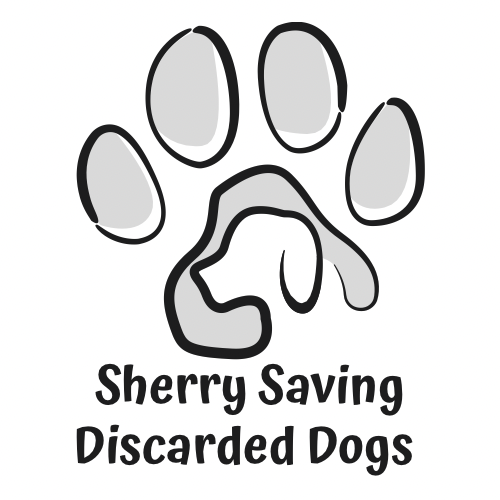 Sherry Saving Discarded Dogs