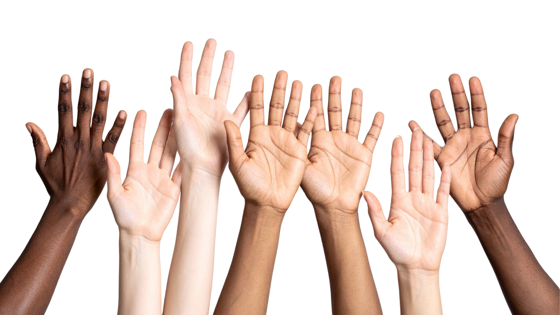 Multiple hands of diverse skin tones raised in the air, symbolizing unity and diversity.