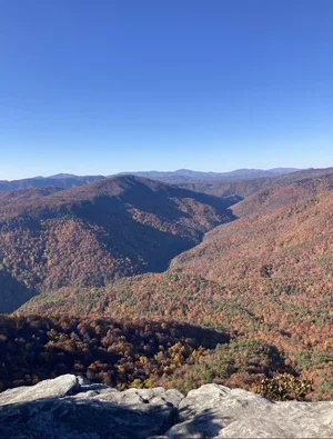 A panoramic view of a forested mountain range with trees displaying fall colors, under a clear blue sky.