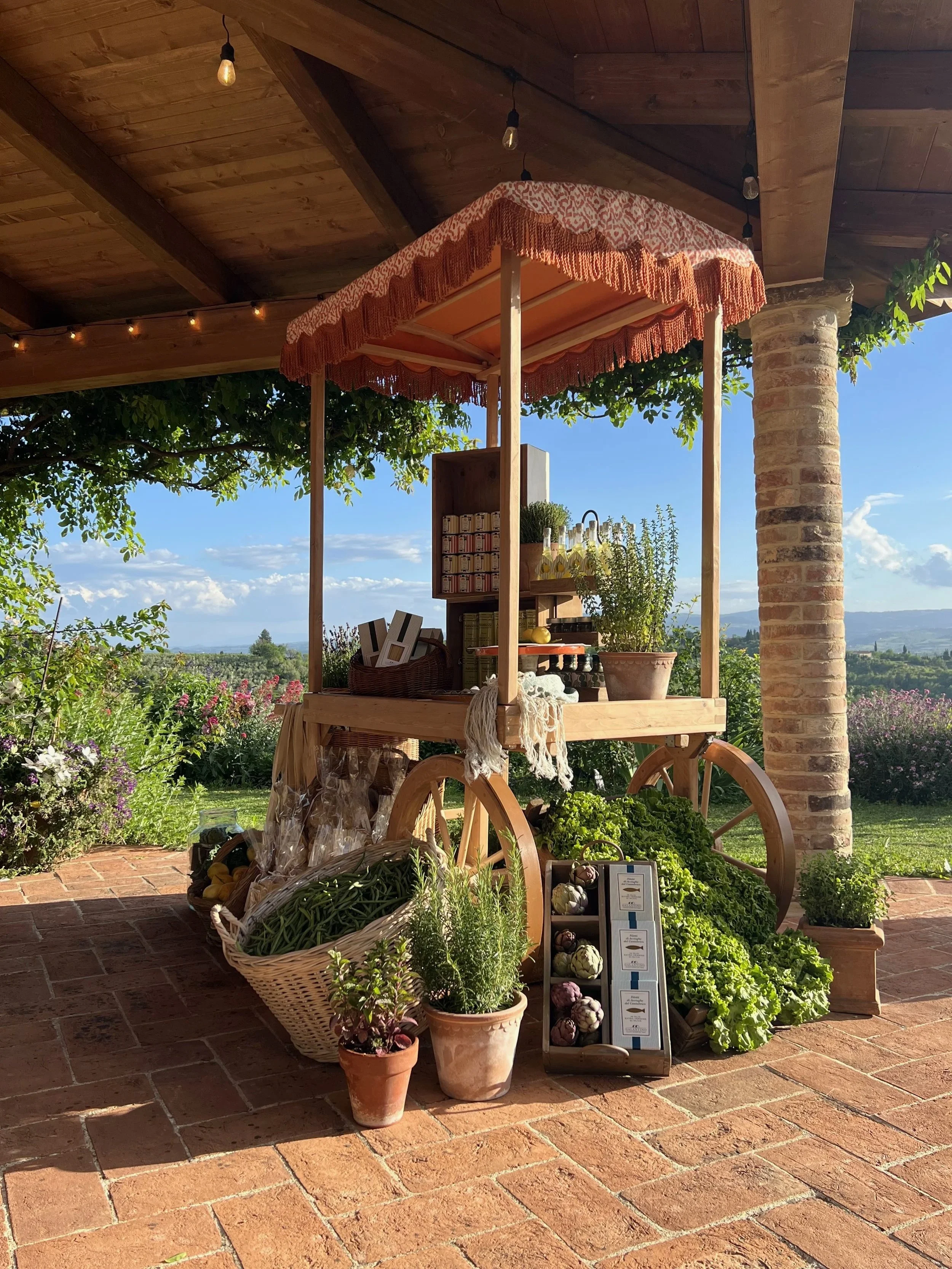 A market stand with potted herbs and vegetables, including garlic and onions, under a peach-colored canopy with fringe. The stand is on a brick patio with a scenic background of hills and blue sky, and is attached to a building with a wooden ceiling and string lights.