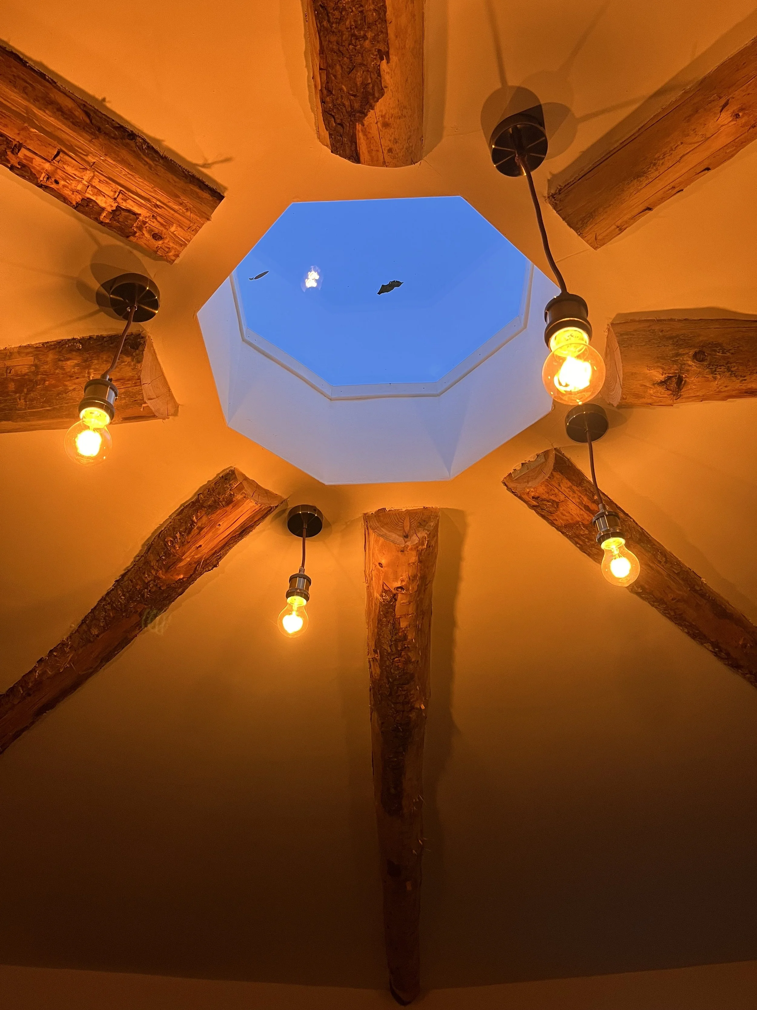 Roundhouse Eco Builds Gallery Image 4