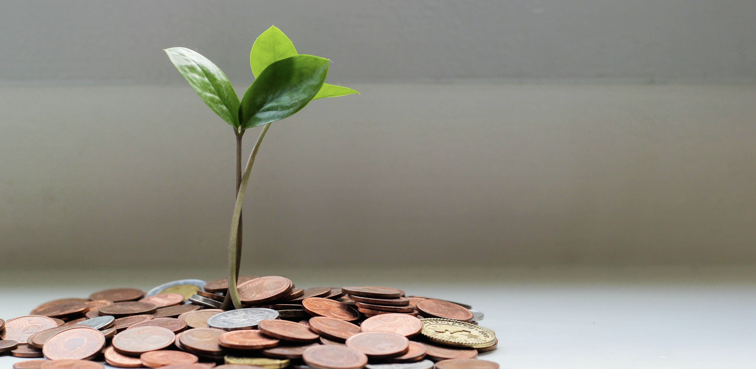 Introductory FX3 Seminar