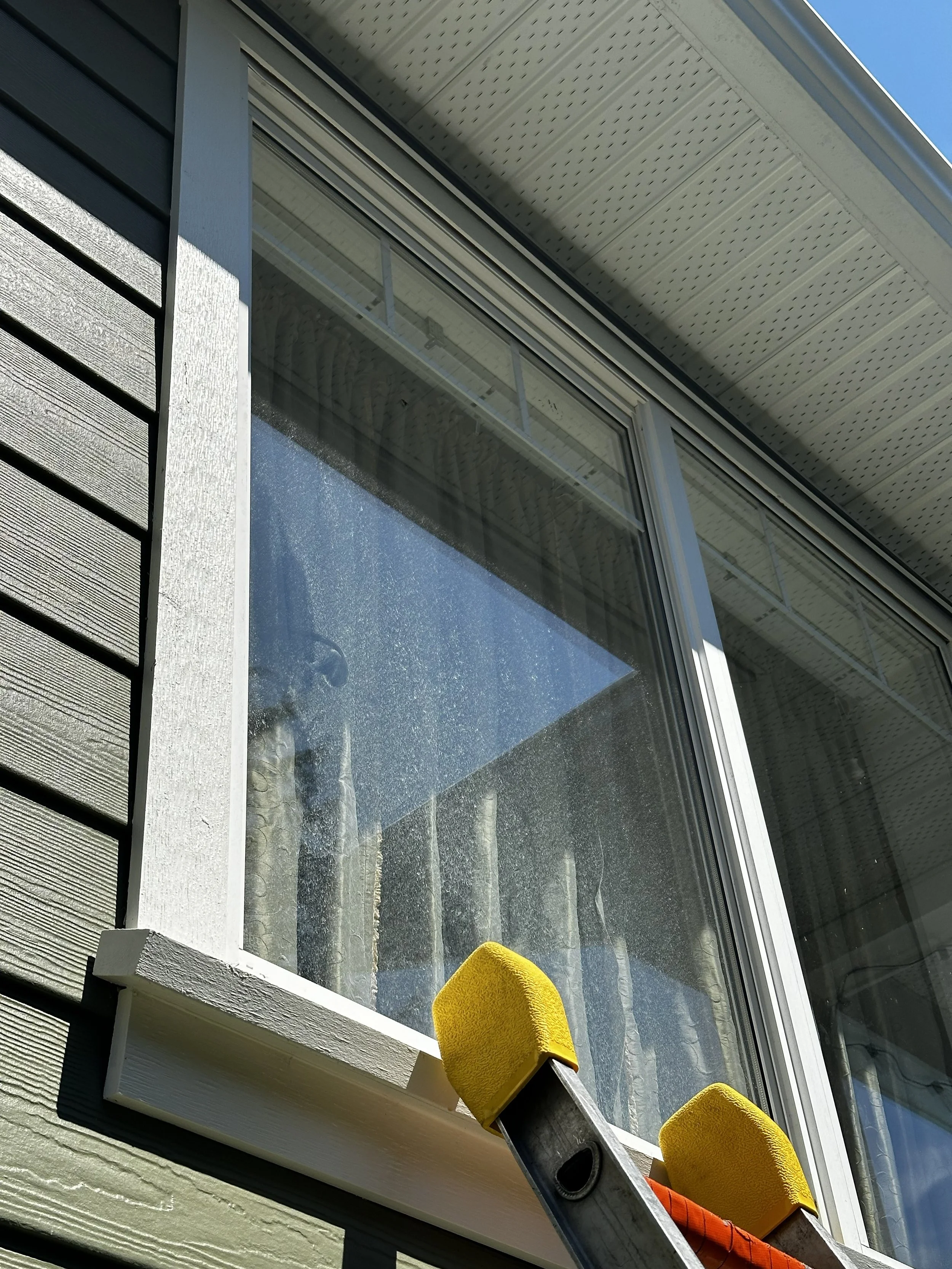 Close-up of a window cleaning tool with yellow foam pads on a ladder, outside of a house with gray siding.