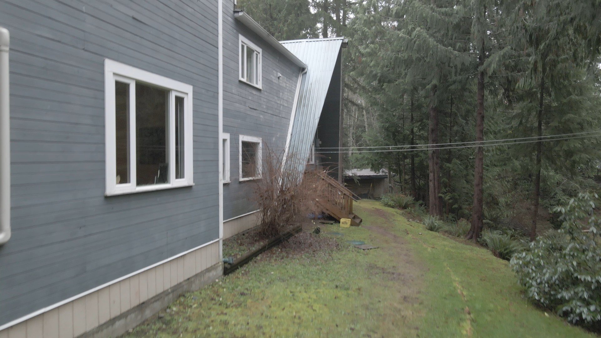 Side view of a blue house with white window frames, a green grassy yard, and tall trees in the background. A small set of stairs leading to a door is visible, with a bush next to it. A fallen branch is on the ground.