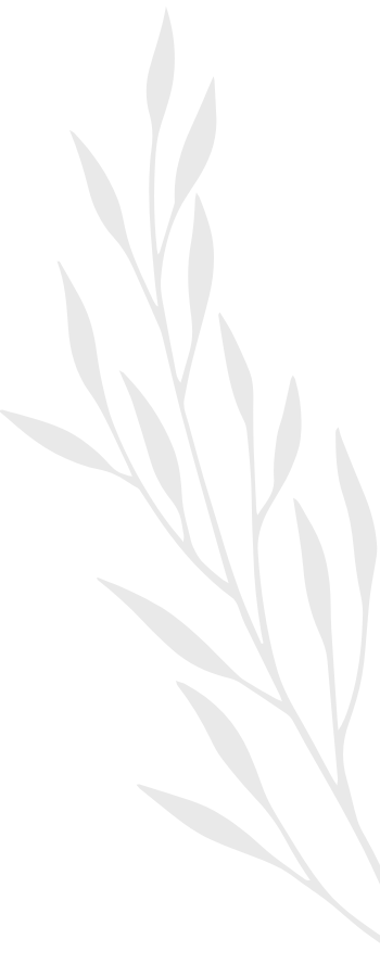 A black and gray illustration of a leafy branch with multiple elongated leaves.