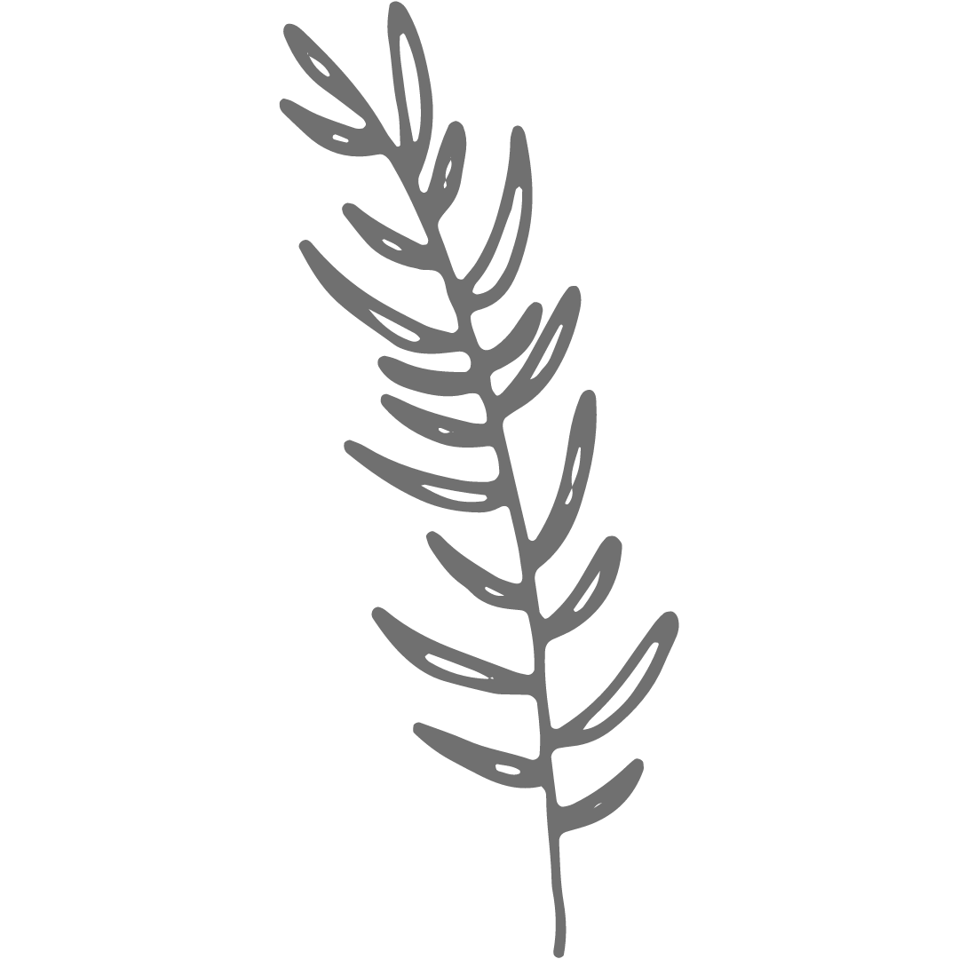 Outline of a plant with elongated leaves on a black background.
