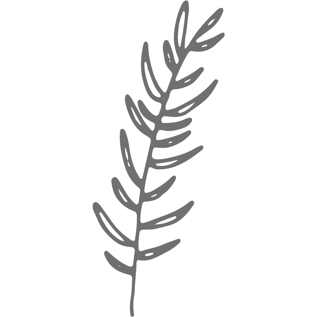 Gray outline of a fern leaf on a black background.