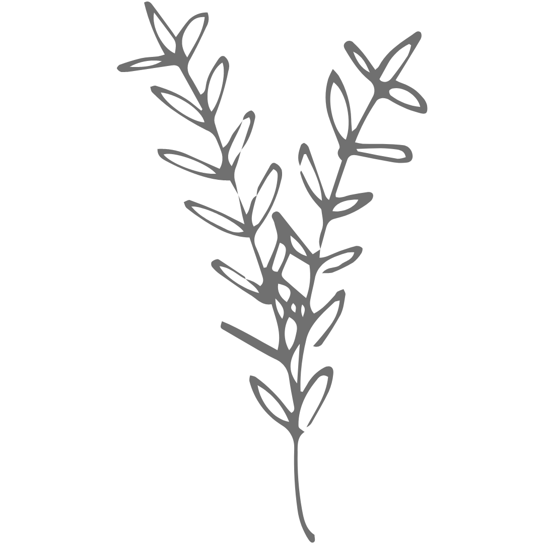 A simple line drawing of a sprig of rosemary herb with narrow, elongated leaves.