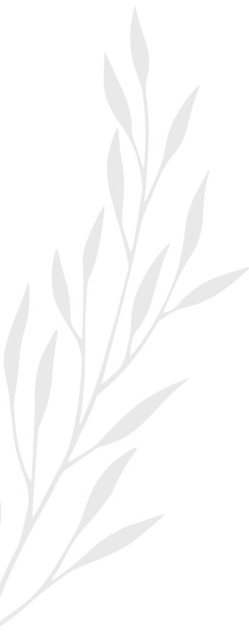 A stylized illustration of a leafy branch with elongated leaves in shades of gray.