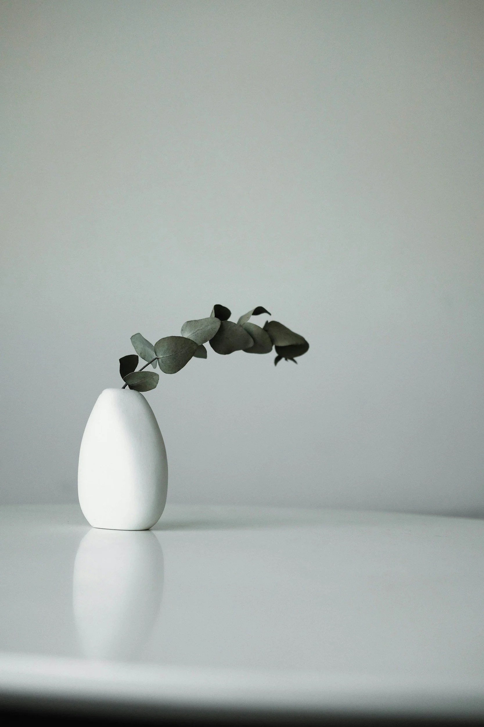 Minimalist white vase with a branch of eucalyptus leaves on a white surface against a plain gray background.
