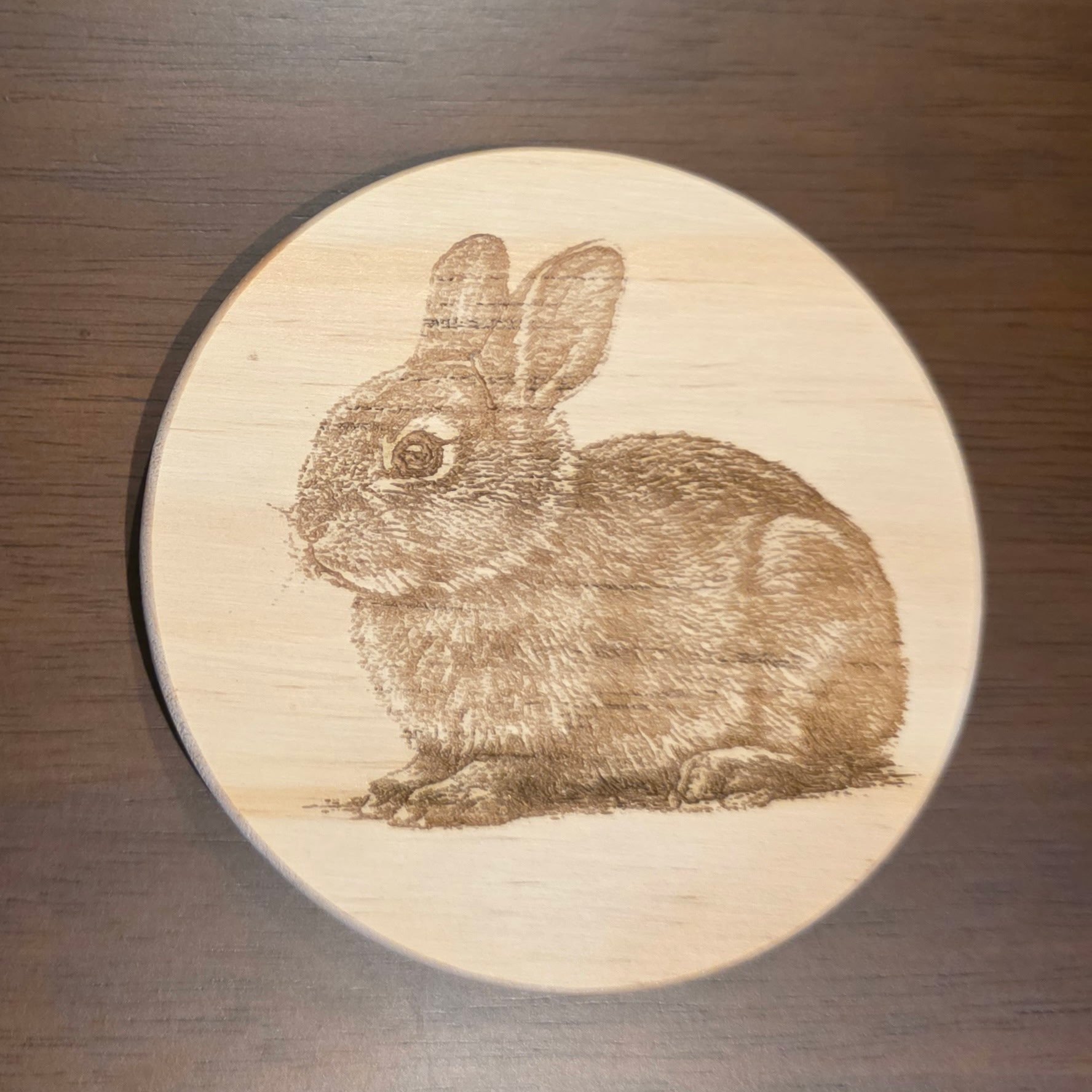 Rabbit Coaster