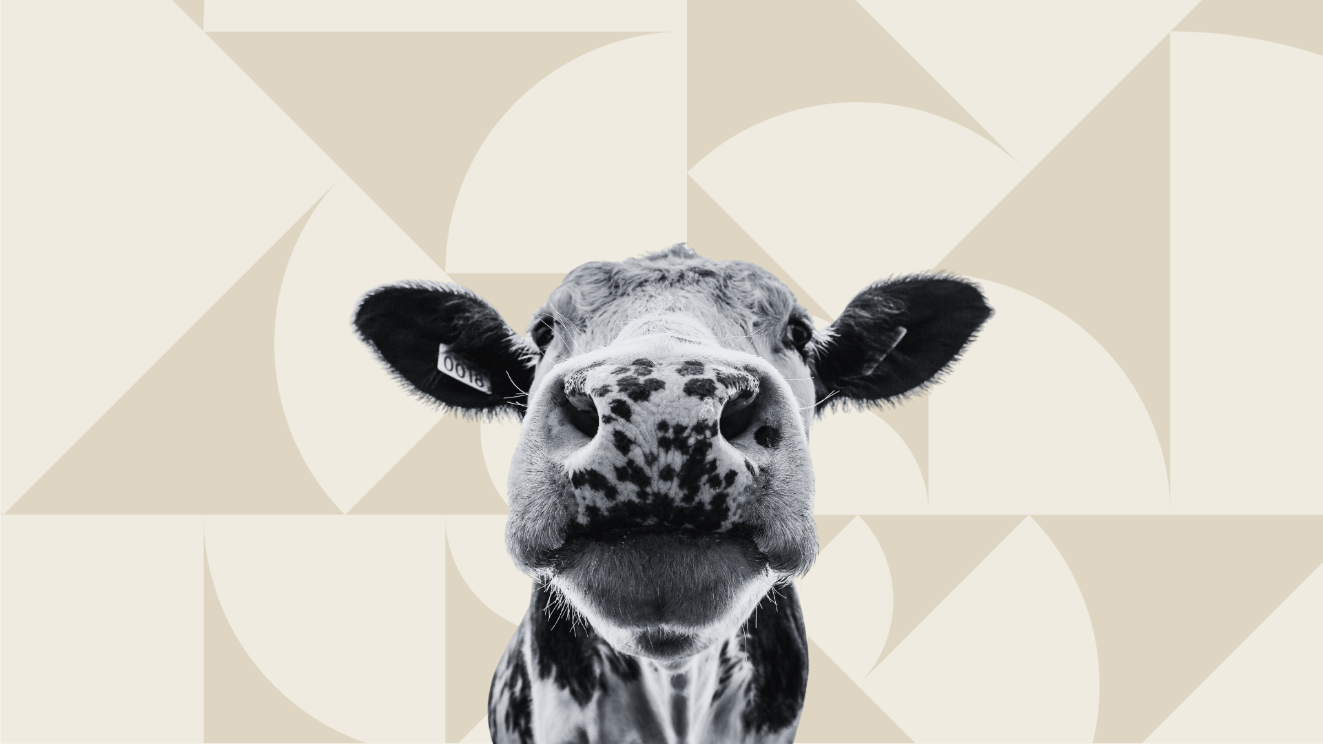 Global Dairy Enterprise Chooses ITSM for Portal, Activate for Access Automation