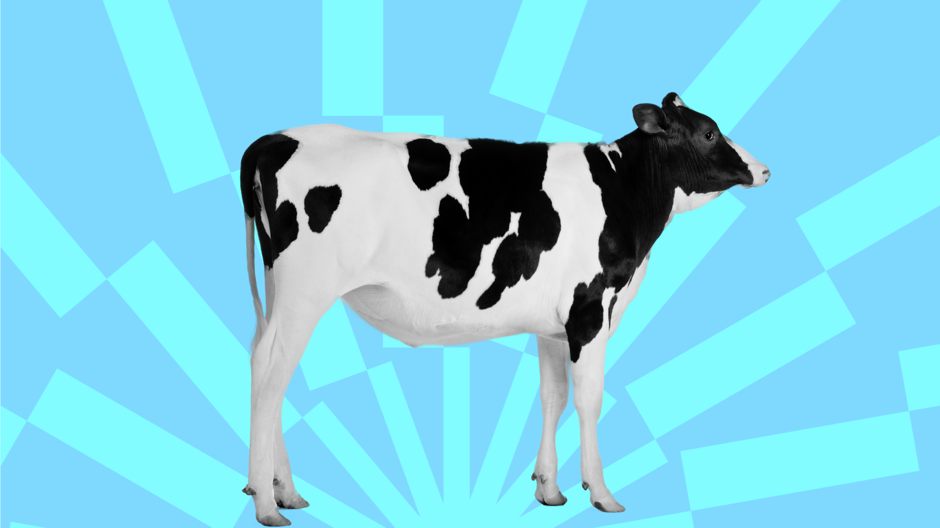 How a Global Dairy Enterprise Removed the Hidden Work Behind Distribution Lists