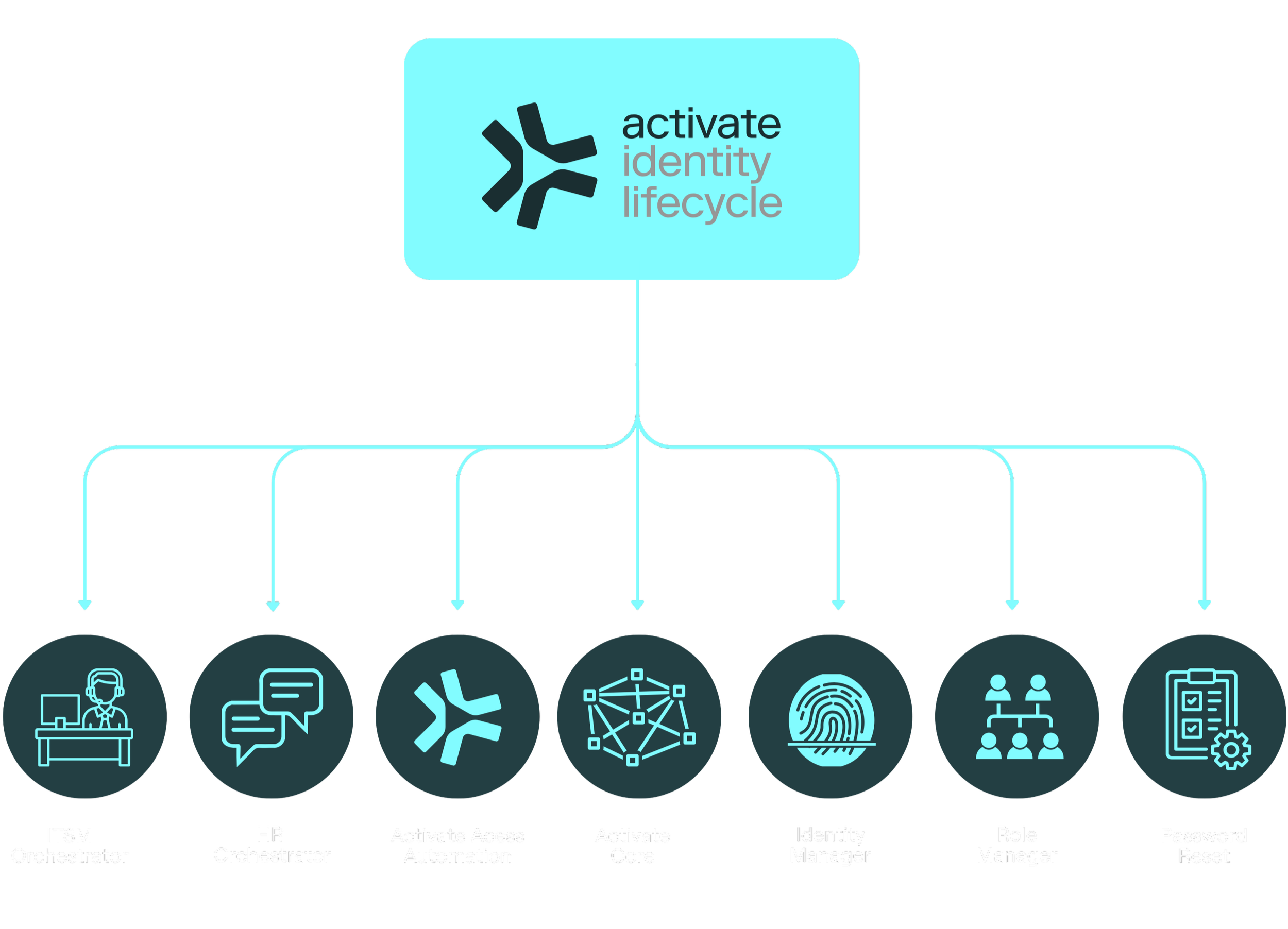 Activate Identity Lifecycle Diagram