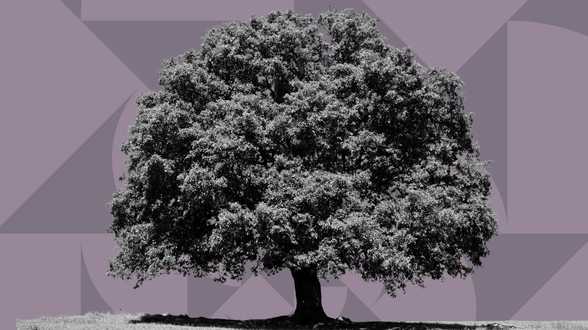 Why Are We Still Using Folder Trees in 2026?