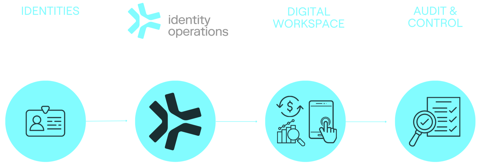 Infographic explaining data workflow for identity management, digital workspace, and audit control, including icons for user ID, automation, data, devices, and verification.