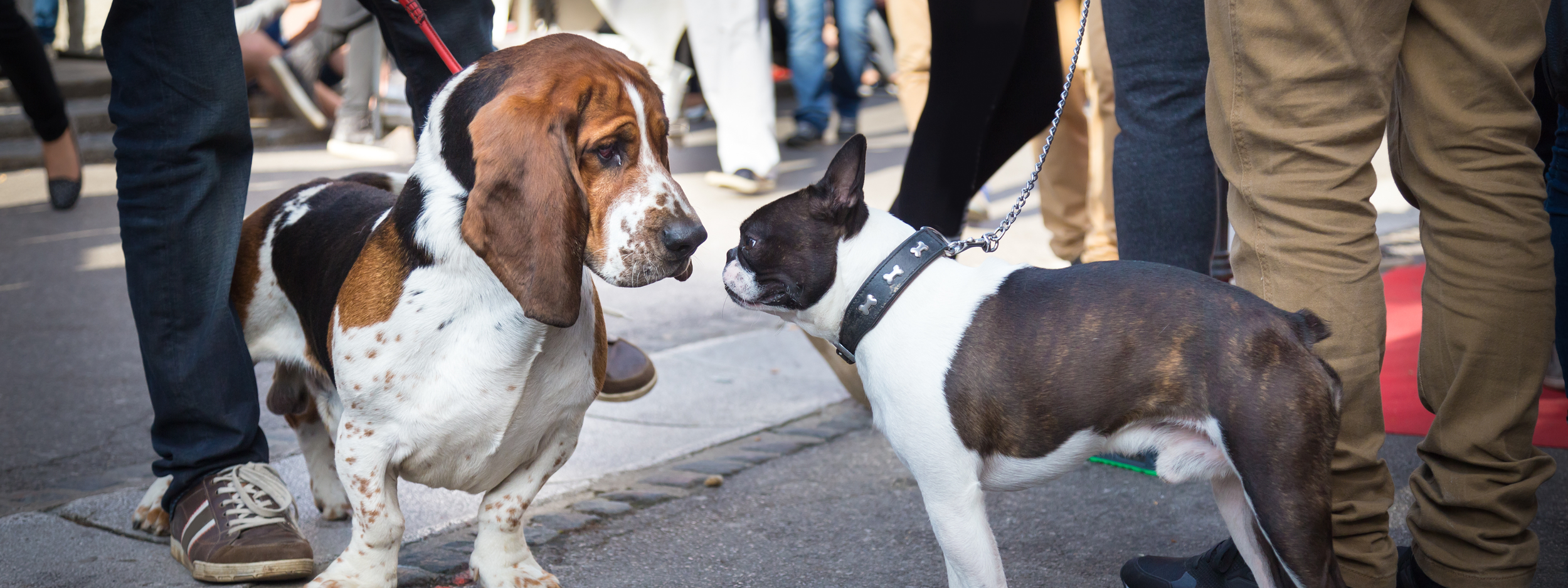 Experience Matters: Socialization Strategy