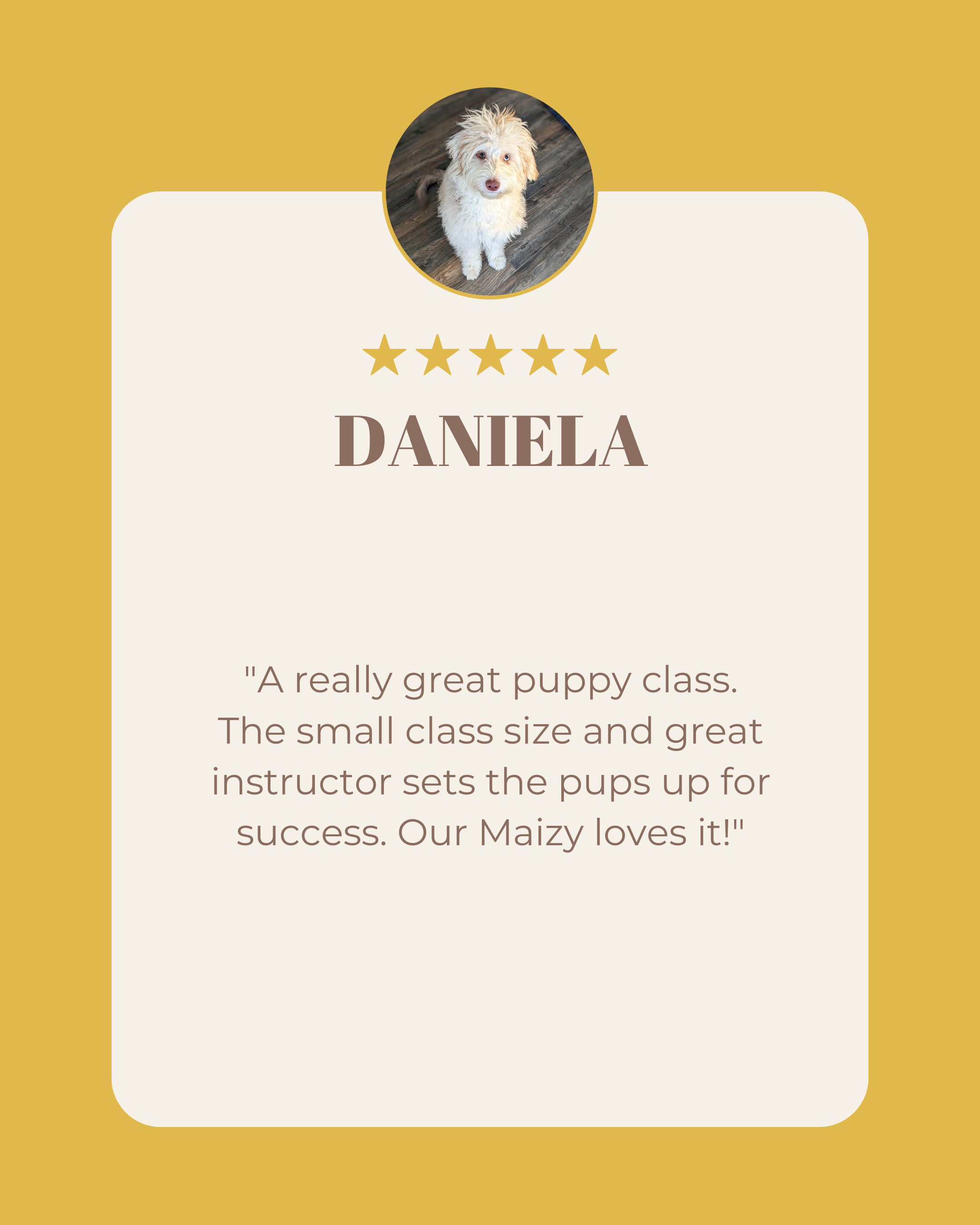 A puppy profile card for Daniela with a photo of a small, fluffy, light-colored dog at the top, a five-star rating below, and a positive review praising the puppy class and instructor.