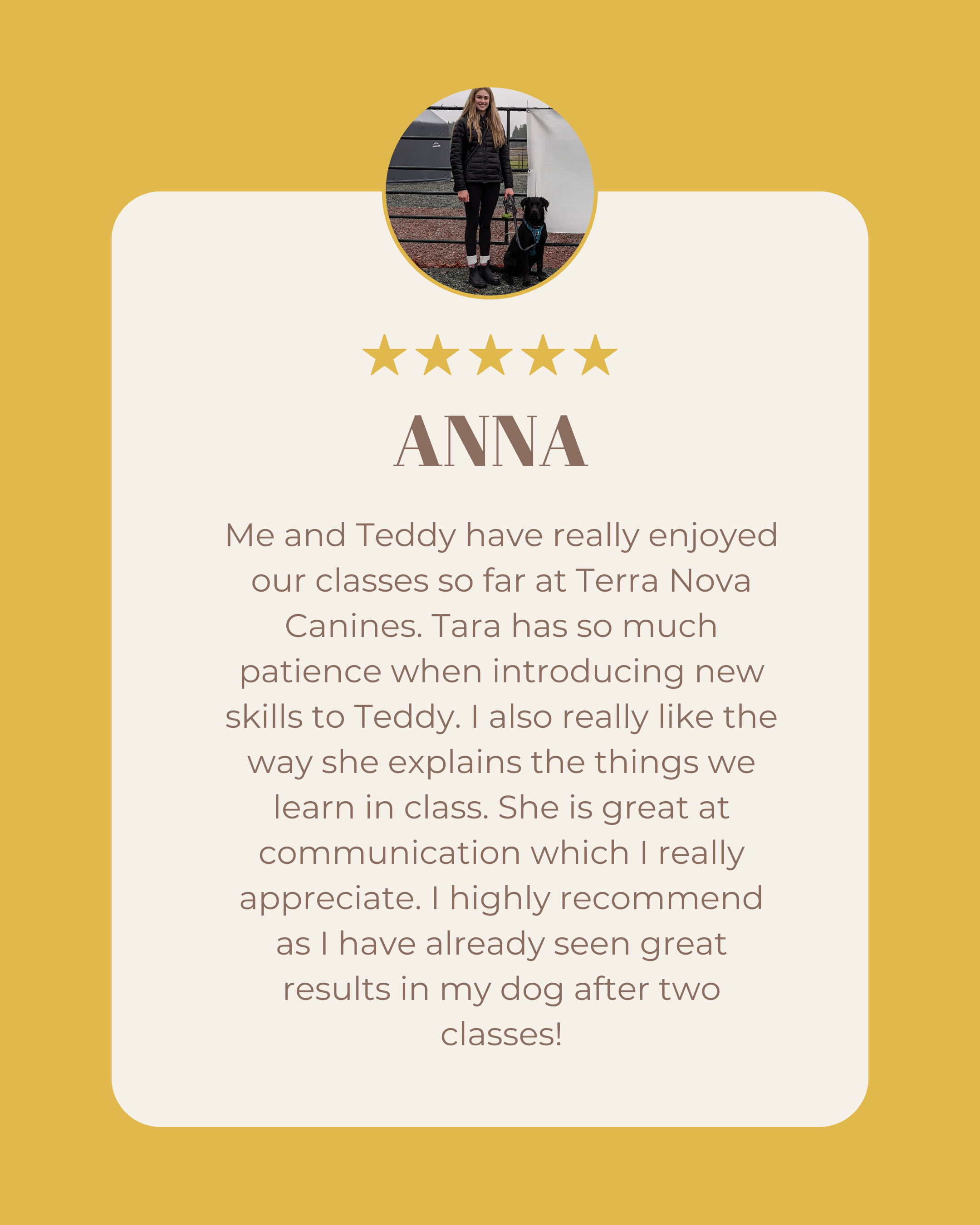 Testimonial card with a photo of a woman and her dog at the top, five gold stars underneath, and a detailed positive review about dog training classes from Terra Nova Canines, praising Tara's patience and communication skills.