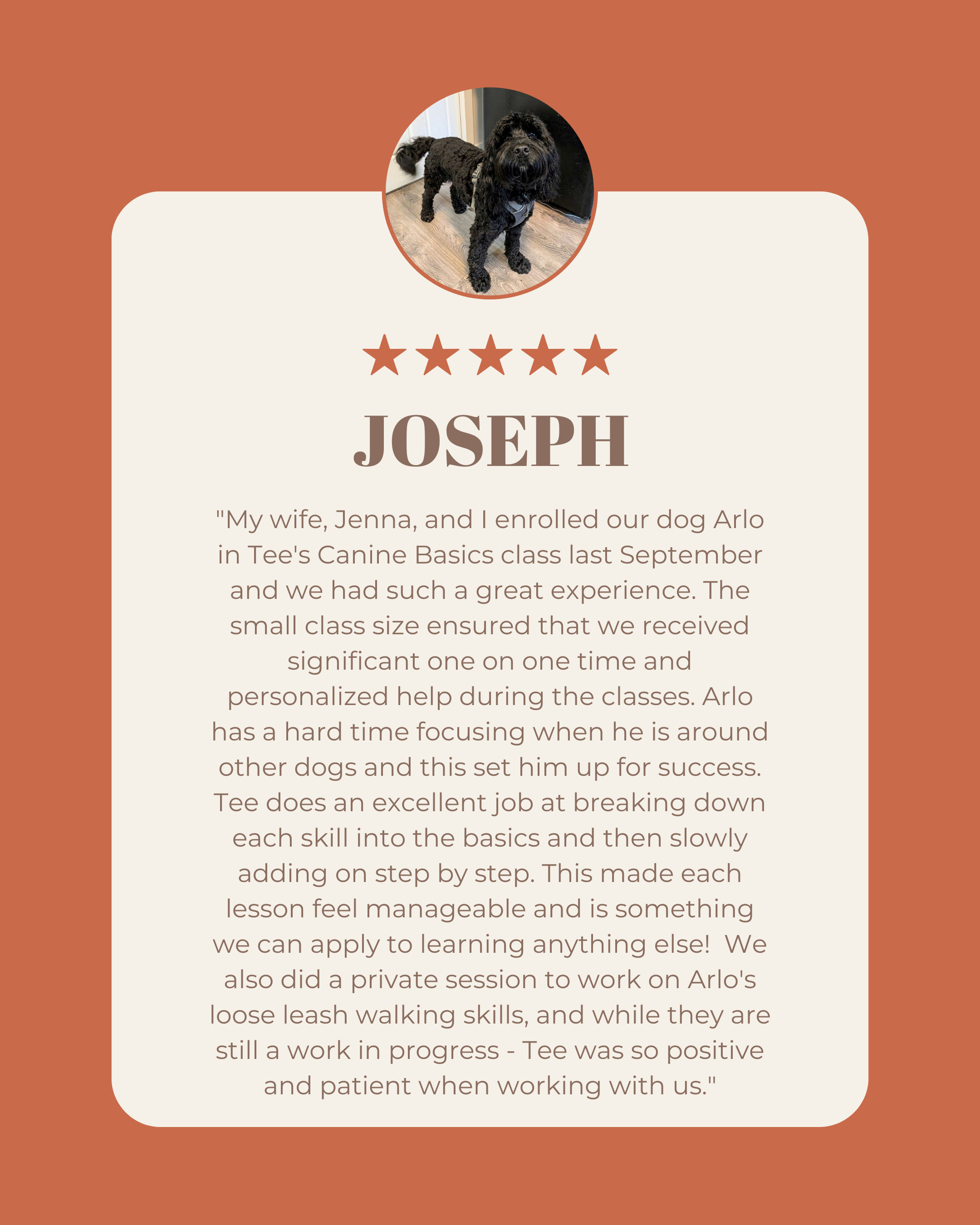Image of a dog trainer's review for Joseph, featuring a photo of a black curly-haired dog and a detailed positive testimonial about dog training classes.