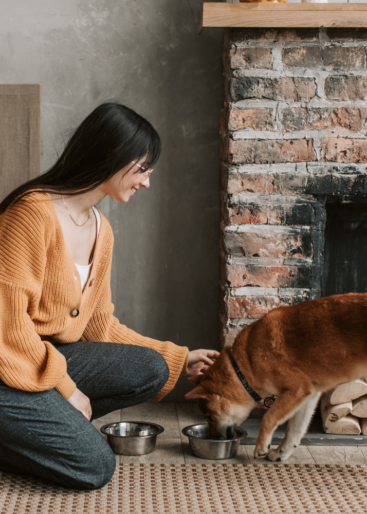 A woman squatting next to a brown dog, both eating from metal bowls on a rug in front of a brick fireplace.
