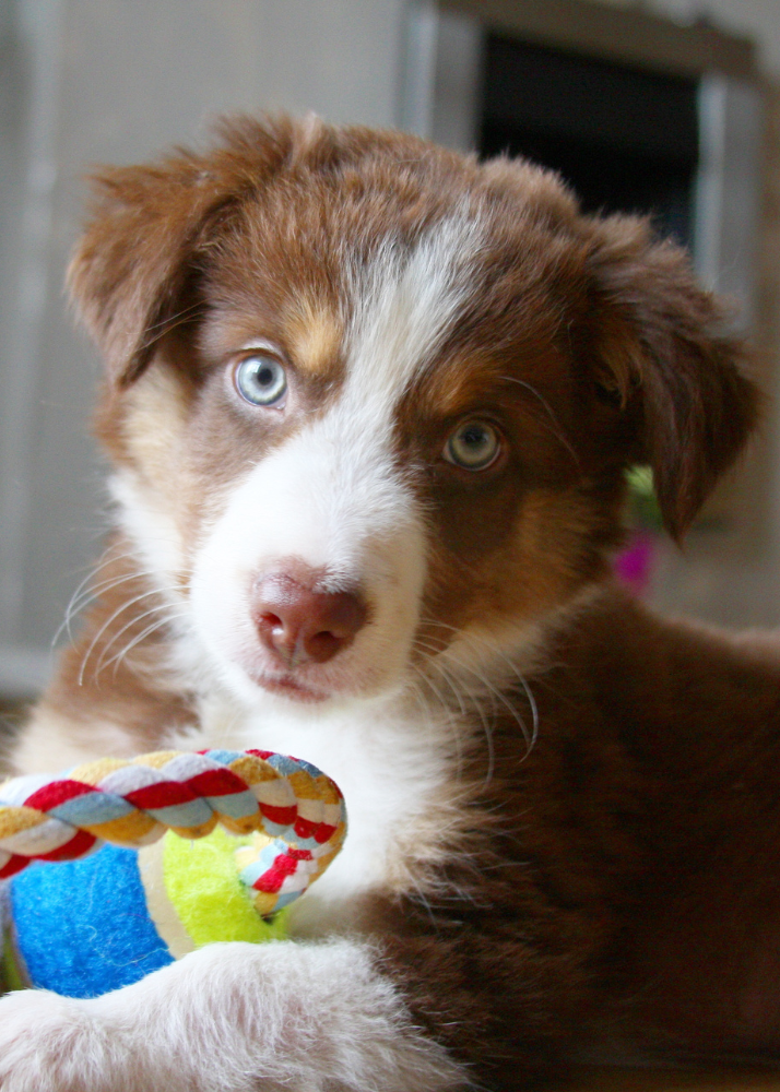 Socialization Checklist