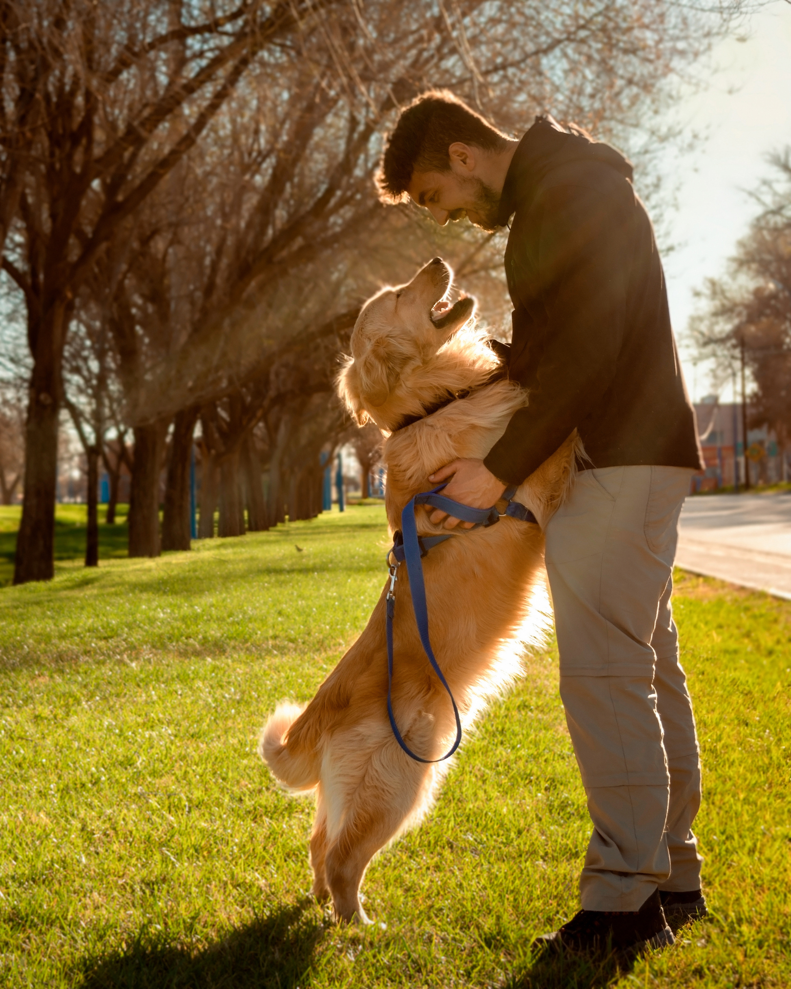 A man and a golden retriever dog are in a park during sunset, with the dog standing on its hind legs and hugging the man's waist, both looking happy and close.