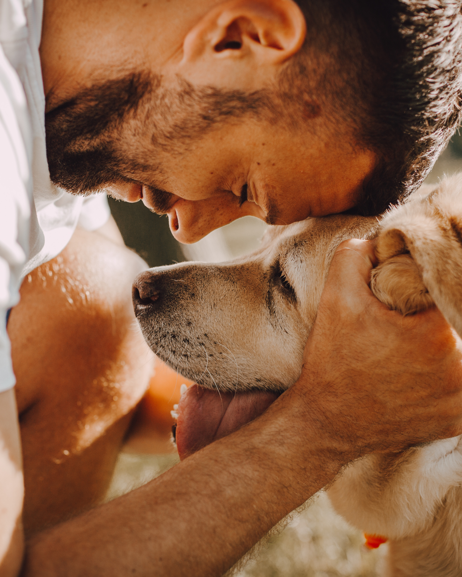 A man and a dog touching noses, close-up of their faces, holding the dog gently.