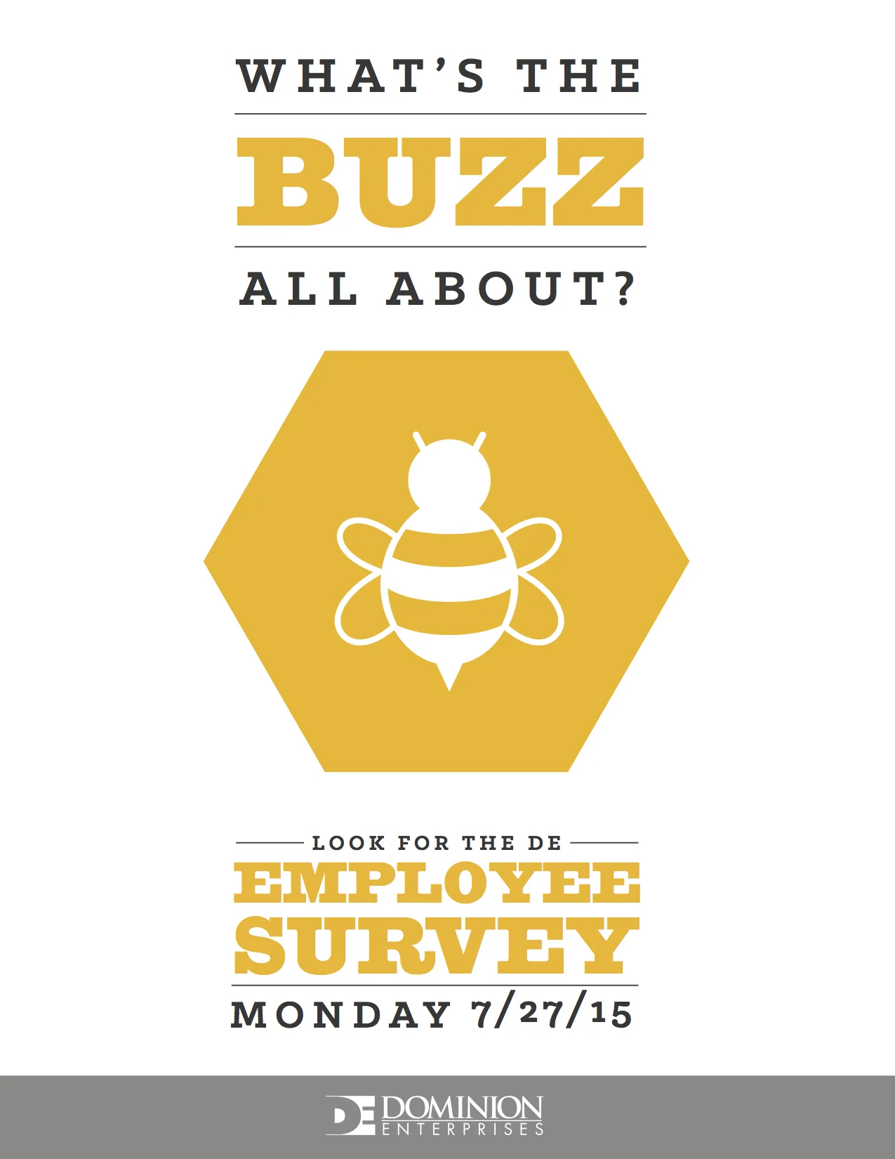 DE 2015 Survey - What's the Buzz All About 2.jpeg
